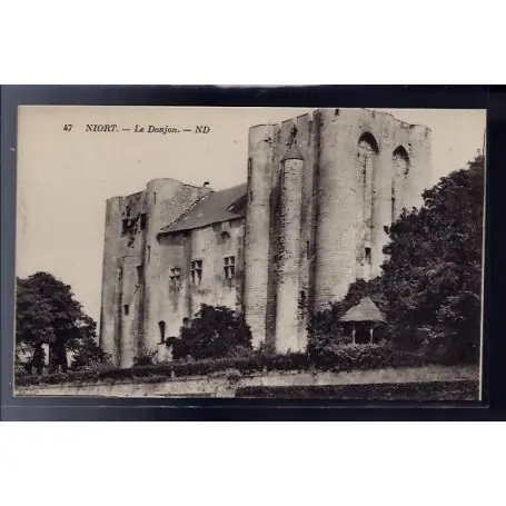 Meilleure Qualité Carte postale 79 - Niort - le Donjon - Non voyage - Dos divise