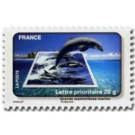 Timbre de collection France - Autoadhsif 0403A Meilleur Prix
