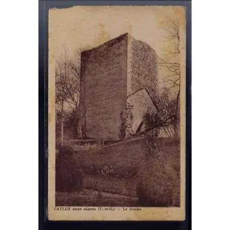 Carte postale 82 - Caylus - Moyenageux - le Donjon - Non voyage - Dos divise Vente Directe
