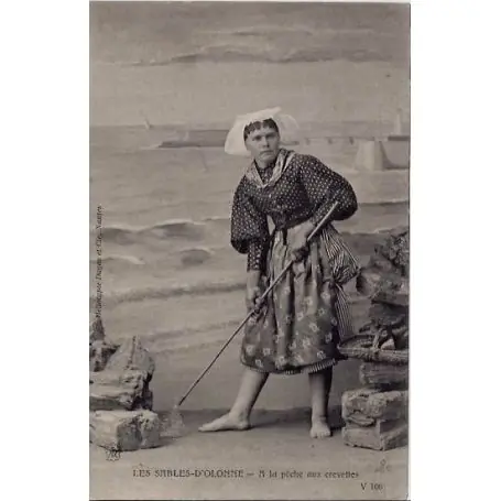 Carte postale 85 - Les sables d'Olonne -A la peche aux crevettes - Voyage - Dos divise Produit De Marque