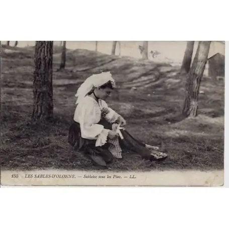 Promotion Saisonnière Carte postale 85 - Les sables d'Olonne -Sablaise sous les pins - Voyage - Dos divise