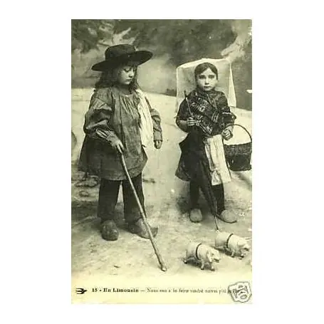 Affaire À Saisir Carte postale 87 - En limousin - Les enfants et les cochons