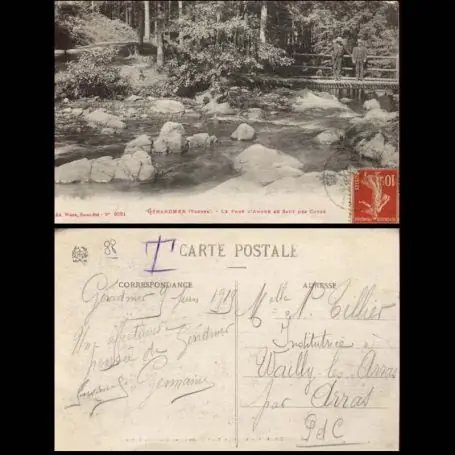 Carte postale 88 - Gerardmer - Le pont d'Amour au Saut des Cuvee Commande En Gros