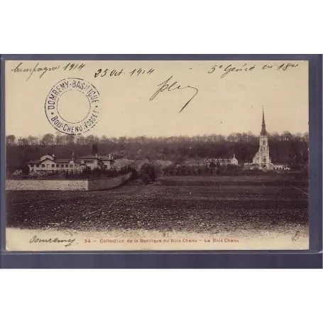 Offre Du Jour Carte postale 88 - Le Bois Chenu - collection de la Basilique du Bois Chenu - Voyage - Do