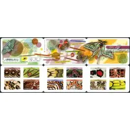 Timbre de collection France - Autoadhsif Carnet BC1801 Édition Limitée