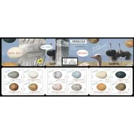 Seulement Aujourd’hui Timbre de collection France - Autoadhsif Carnet BC1839