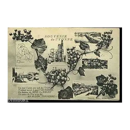 Meilleur Prix Carte postale 89 - Souvenir de l'Yonne - Vigne - Multivue