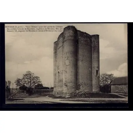 Carte postale 91 - Houdan - Vieux Donjon ayant fait partie du chateau de anciens Comtes d Retour Gratuit