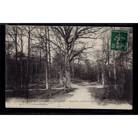 Nouvel Arrivage Carte postale 92 - Bois de Clamart et Meudon - Sous-bois au carrefour de la Garenne - Voy