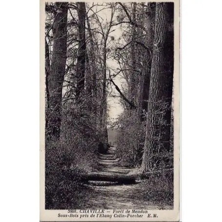 Expédition Rapide Carte postale 92 - Chaville - Foret de Meudon - sous-bois pres de l'etang colin-Porcher - Do