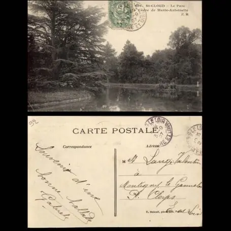 Carte postale 92 - Saint Cloud - Le parc - Cedre de Marie Antoinette Meilleure Qualité