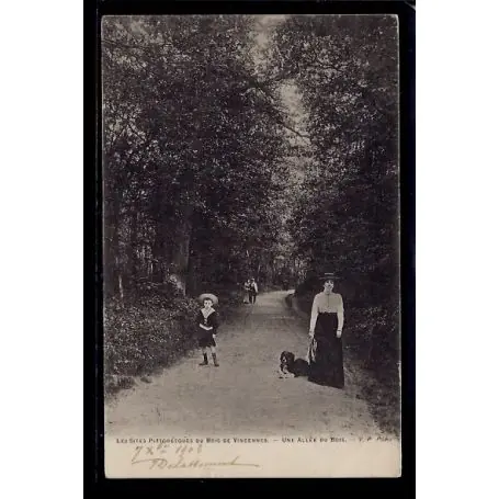 Carte postale 94 - Bois de Vincennes - Une allee du Bois - Voyage - Dos non divise Satisfait Ou Remboursé