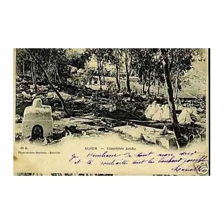 Algerie - Alger - Le cimetiere arabe En Vogue