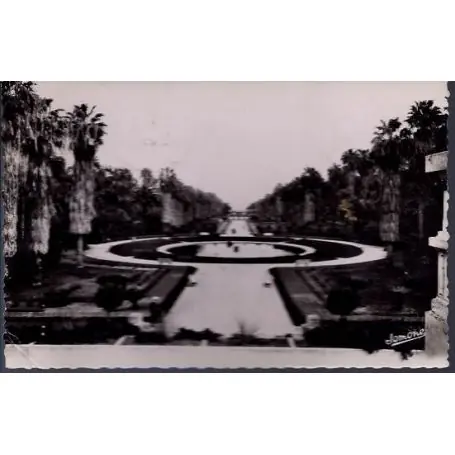 Algerie - Alger - Le jardin d'essai - 1953 Top Qualité