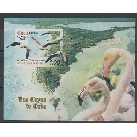 Offre Spéciale Cuba - 2007 - No BF226 - Oiseaux