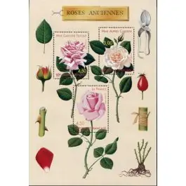 Exclusif Timbre de collection France - Bloc Feuillet 024