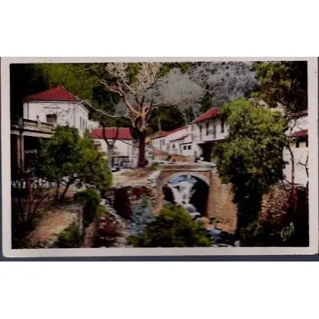 Offre Du Jour Algerie - Blida - Gorges de la Chiffa