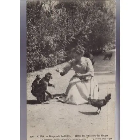 Prix Promo Algerie - Blida - Gorges de la Chiffa - Hotel du ruisseau des singes - Le partage. Sollicitude de la proprietaire