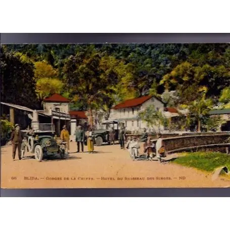 Algerie - Blida - Gorges de la Chiffa - Hotel du ruisseau des singes - Voitures - Beau plan anime en couleur - 1930 Affaire À Saisir