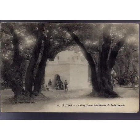 Quantité Limitée Algerie - Blida - Le Bois Sacre - Marabouts de Sidi-Yacoub