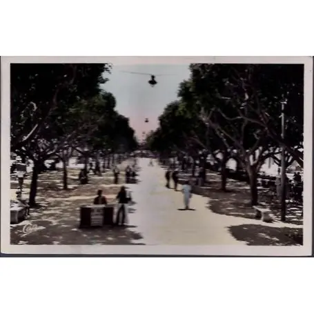 Algerie - Bone - Le cours Bertagna Must-Have