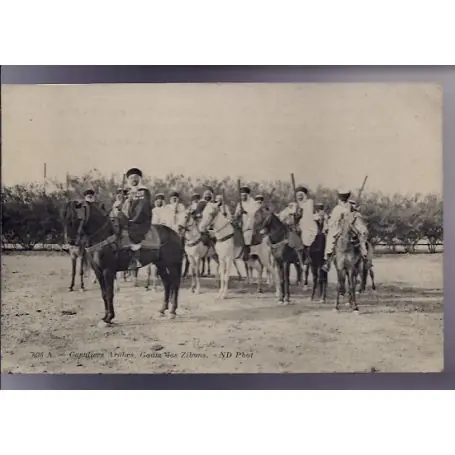 Tendance Algerie - Cavaliers arabes - Goum des Zibans - Beau plan