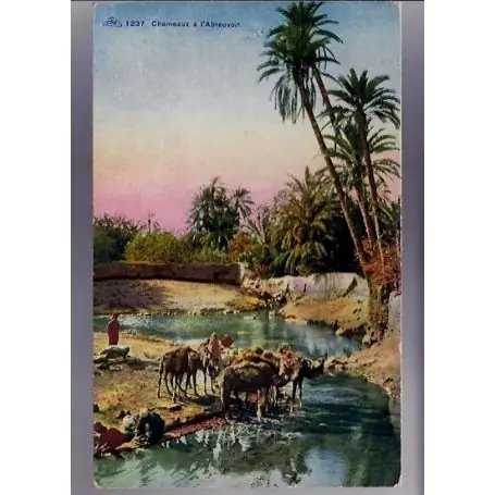 Bon Plan Algerie - Chameaux a l'abreuvoir - Couleur