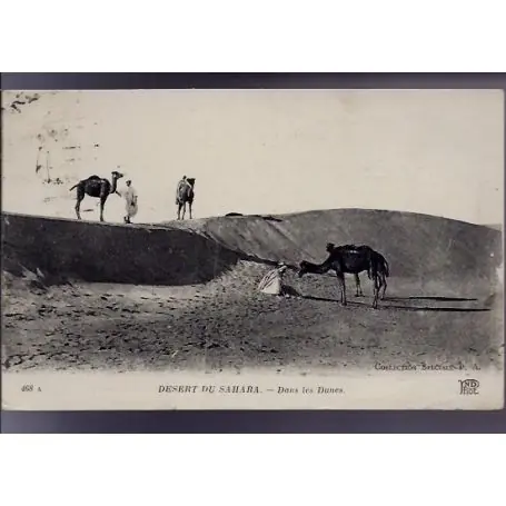 Nouveauté Algerie - Desert du Sahara - Dans les dunes - Anime
