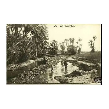 Algerie - Enfants dans l'Oasis Commande En Gros