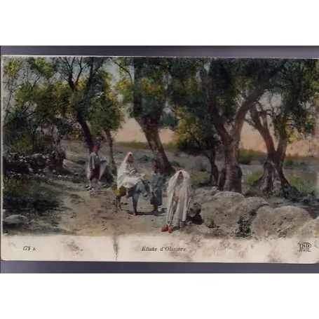 Algerie - Etude d'Oliviers - Beau plan anime en couleur - 1919 Tendance