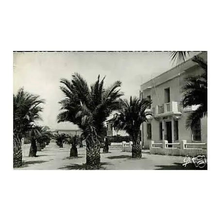 Algerie - Guelma - Rue Zama - CPSM 1957 Offre Du Jour