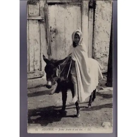 Algerie - Jeune arabe et son ane - Beau plan Expédié Aujourd’hui