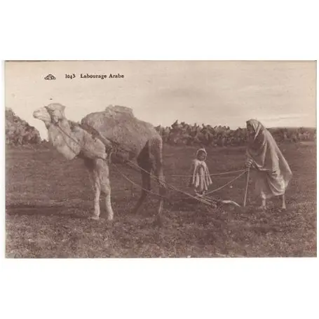 Algerie - Labourage Arabe - Enfant Petit Prix