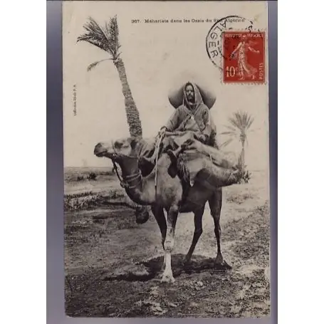 Algerie - Mehariste dans les oasis du sud algerien - Beau plan - 1907 Offre Du Jour