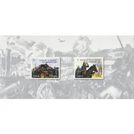 Timbre de collection France - Bloc Souvenir 098 sans tui Petit Prix