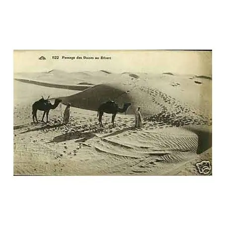 Algerie - Passage des dunes au desert Super Prix