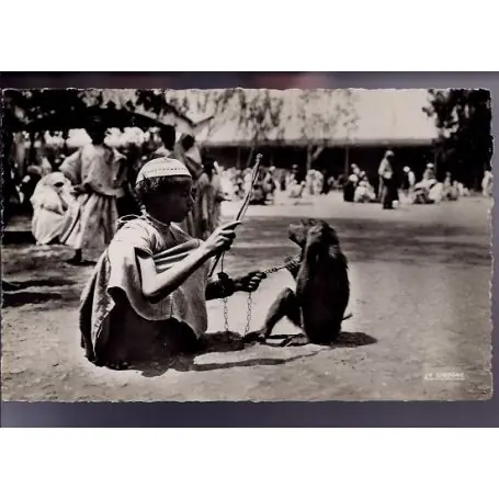 Algerie - Scenes et types - Jeune dresseur de singe - Beau plan - CPSM Livraison Express