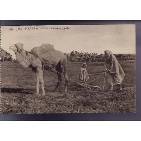 Paiement Sécurisé Algerie - Scenes et types - Labourage arabe - Beau plan