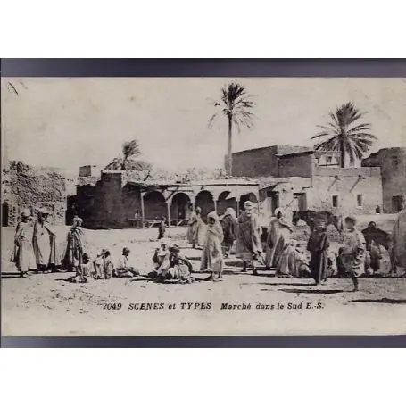 Top Qualité Algerie - Scenes et types - Marche dans le sud - Anime