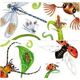 Timbre de collection France - Bloc Souvenir 134 et 134A sans tui Acheter Direct