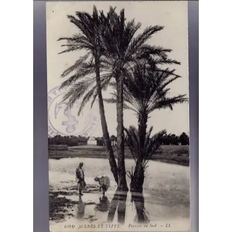 Commander Vite Algerie - Scenes et types - Paysage du sud