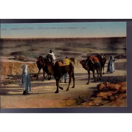 Algerie - Scenes et types - Une caravane dans le desert - couleur Expédition Rapide