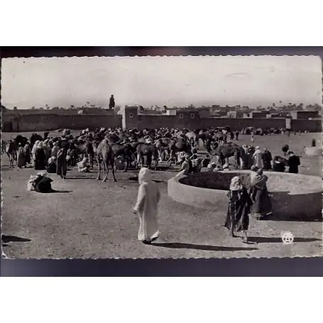 Livraison Mondiale Algerie - Scenes et types d'Afrique du Nord - Les Souks - Le marche aux chameaux - CPSM