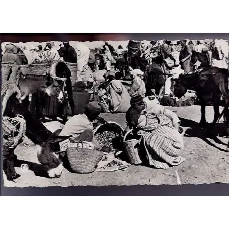 Artisanat Algerie - Scenes et types d'Afrique du Nord - Les Souks - Le marche aux dattes - CPSM
