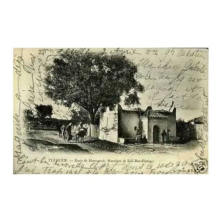 Offre Du Jour Algerie - Tlemcen - Rte de Mansourah - Marabout