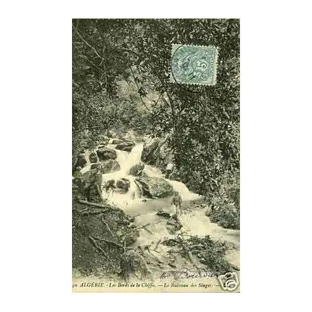 Algerie -Les bords de la Chiffa -Le ruisseau des singes Seulement Aujourd’hui