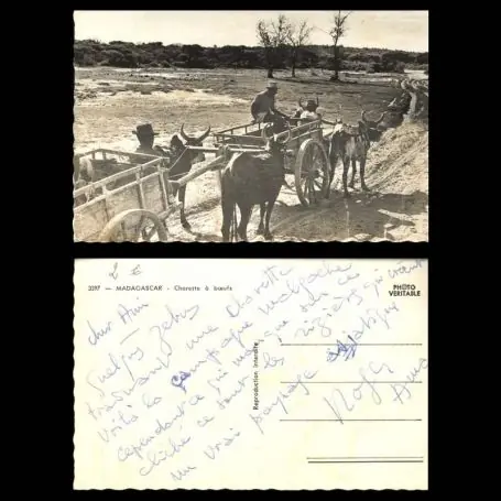 Fait Main Madagascar - Charette a Boeufs - CPSM