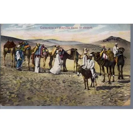 Egypte - Caravane en marche dans le desert Certifié