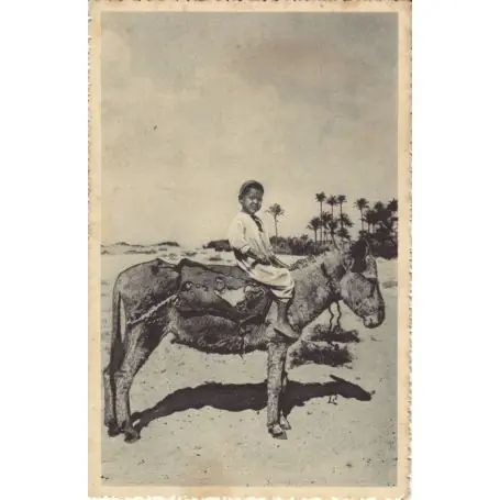 Egypte - Enfant sur son ane Produit De Marque