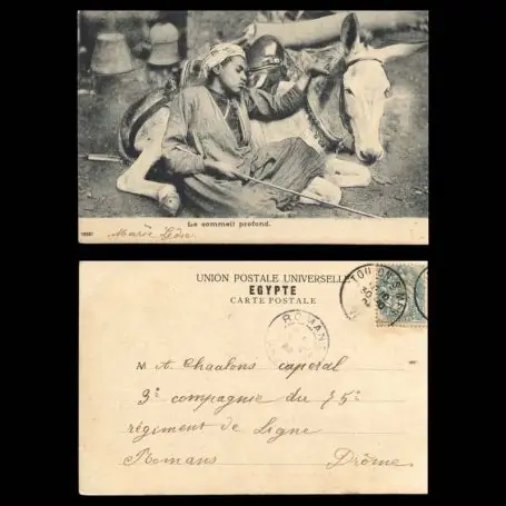 Meilleur Choix Egypte - Jeune enfant et son ane